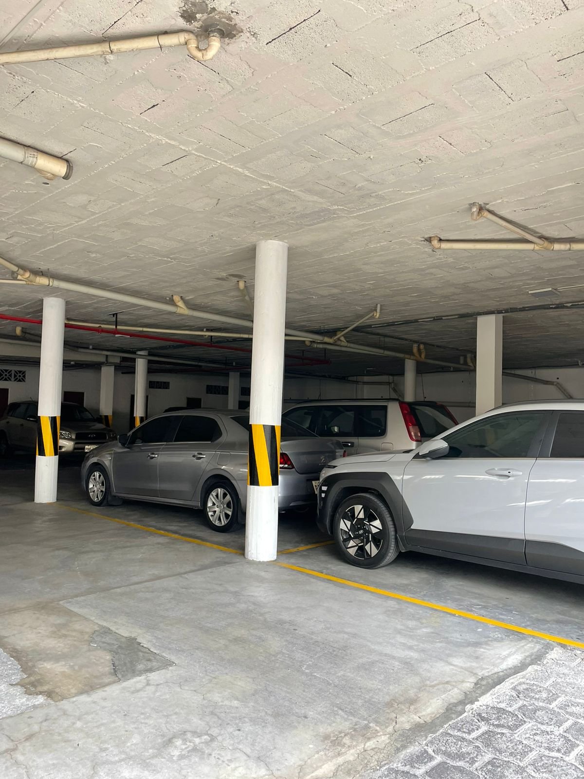 WhatsApp Image 2025-02-13 at 11.22.02 AM (1)