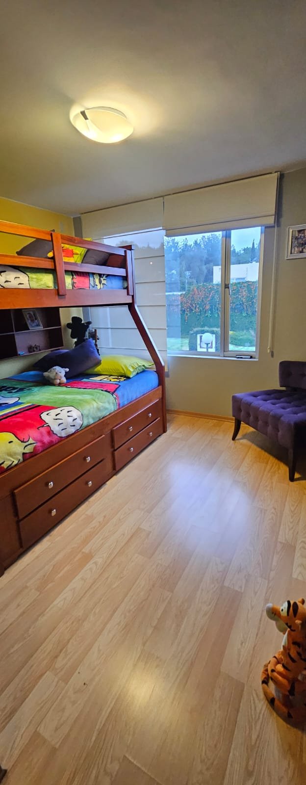 WhatsApp Image 2026-03-10 at 5.13.57 PM (5)