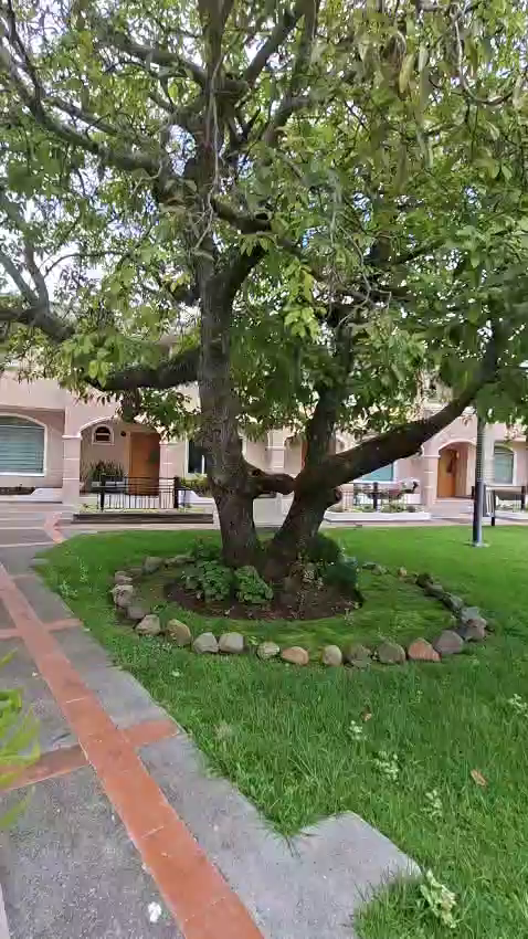 vlcsnap-2026-02-24-12h12m07s671